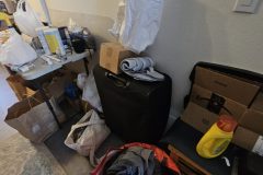 20260710_120849-scaled