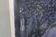 JPEG_20260420_125341_6198575655112250056