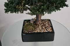 JPEG_20260420_143544_3341520864914747154