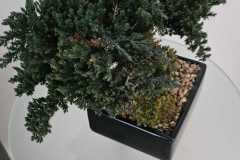 JPEG_20260420_143555_9079651378301117146