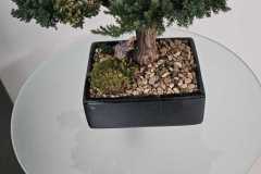 JPEG_20260420_143601_7249389245991313453