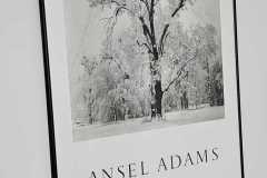 JPEG_20260421_122932_5980359655326022023