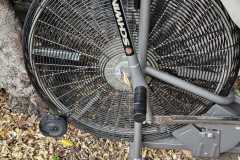 JPEG_20260421_145038_134947449232981385