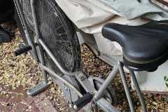 JPEG_20260421_145056_4674861645263548490