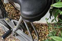 JPEG_20260421_145104_4086834062435489971