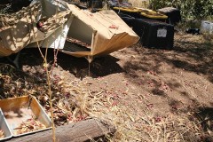 Woodside-Auction-137