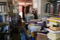 Woodside-Auction-31